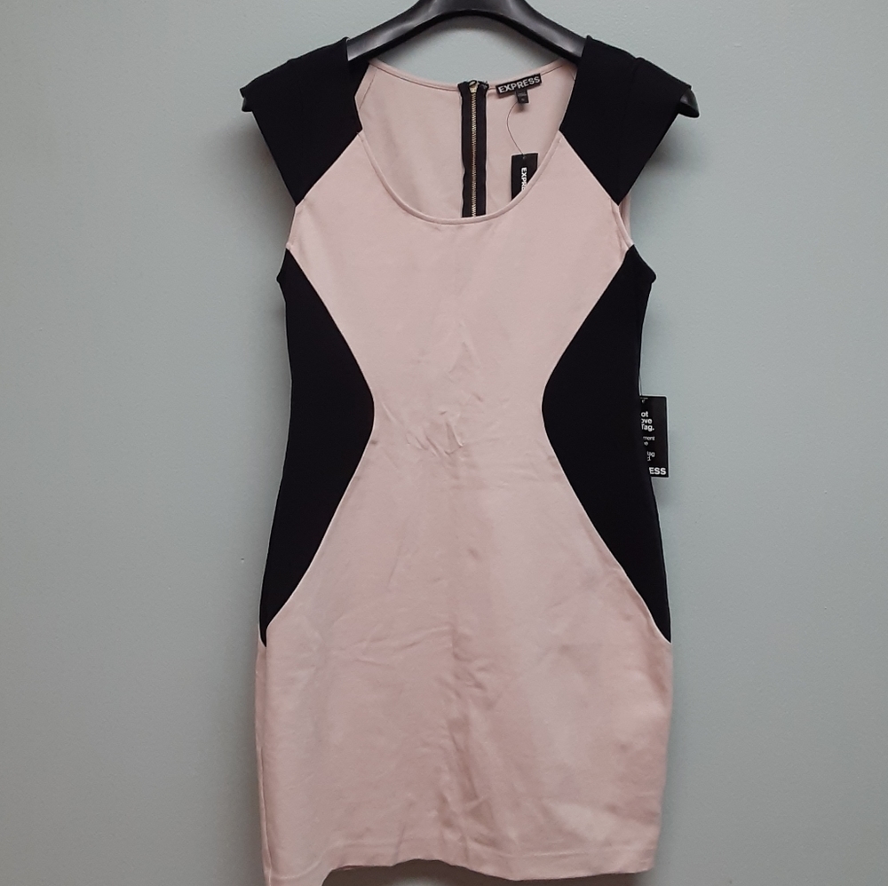 EXPRESS 《Dress》
